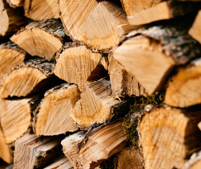 Im Ernstfall zählt Wärme: Warum Holzöfen mehr sind als Gemütlichkeit
