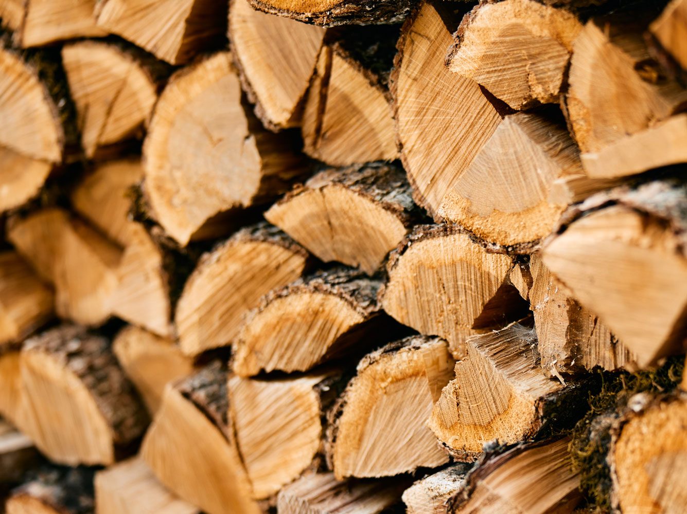 rustic-wood-logs-stacked-together-in-a-neat-pile-f-2026-01-08-22-06-53-utc-1 ASTANA Hase-Kaminofen erhältlich bei Glutart